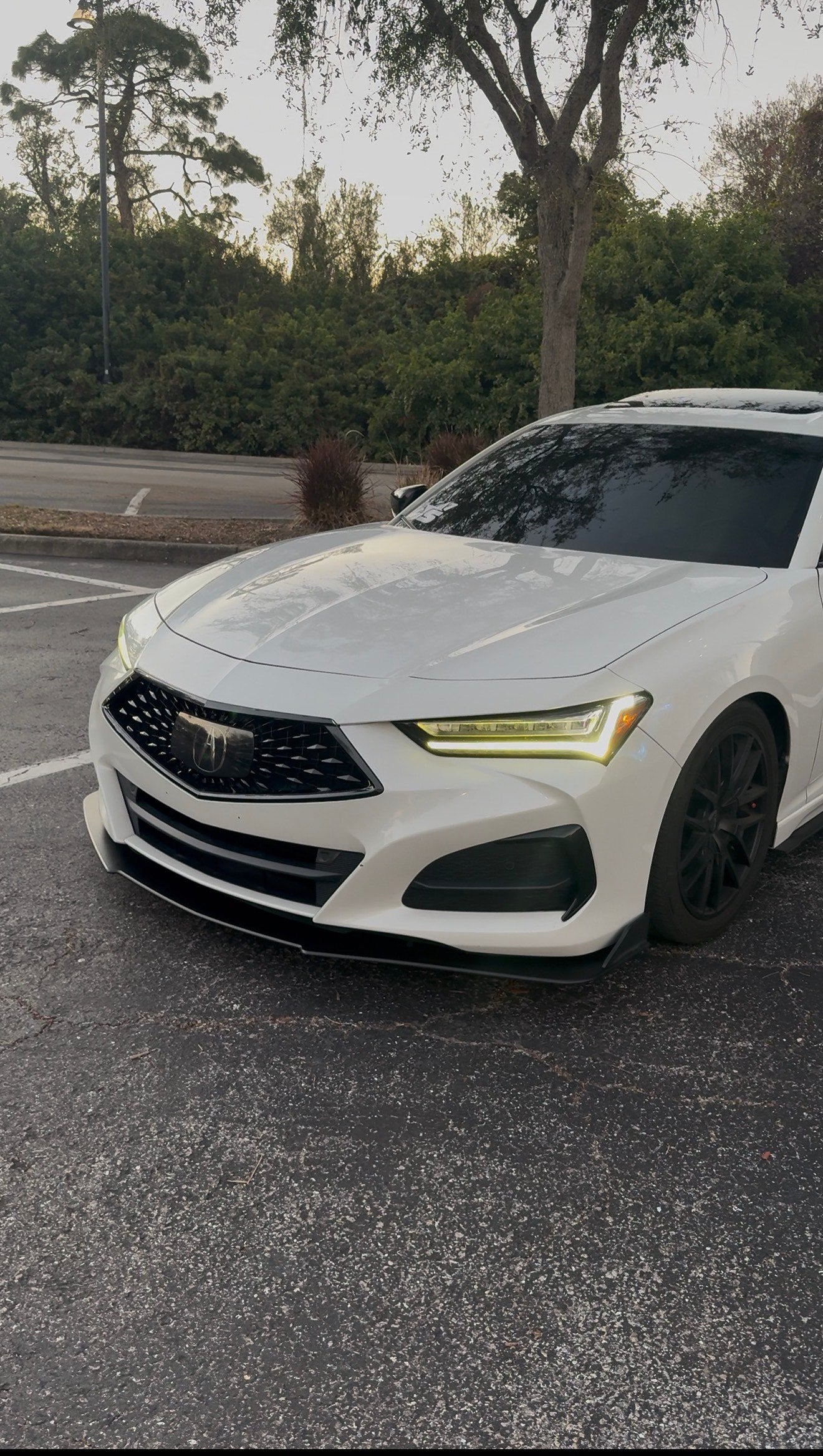 Front Splitter - Acura TLX A-SPEC/BASE 2021-2026